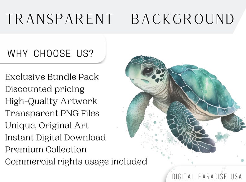 May include: A watercolor painting of a green sea turtle with a white background. The turtle is swimming in the water with its head turned to the side. The text "TRANSPARENT BACKGROUND" is at the top of the image and the text "WHY CHOOSE US?" is below the turtle. The text below "WHY CHOOSE US?" includes the following: "Exclusive Bundle Pack", "Discounted pricing", "High-Quality Artwork", "Transparent PNG Files", "Unique, Original Art", "Instant Digital Download", "Premium Collection", and "Commercial rights usage included". The text "DIGITAL PARADISE USA" is at the bottom of the image.