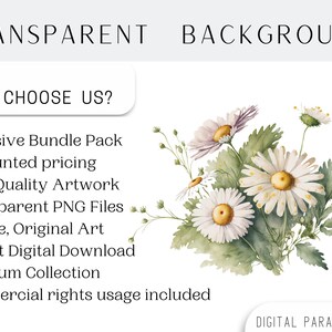May include: A watercolour illustration of a bouquet of white daisies with green leaves and stems on a white background. The text "TRANSPARENT BACKGROUND" is at the top of the image and the text "WHY CHOOSE US?" is below the bouquet. The text below "WHY CHOOSE US?" lists the benefits of purchasing this product, including "Exclusive Bundle Pack", "Discounted pricing", "High-Quality Artwork", "Transparent PNG Files", "Unique, Original Art", "Instant Digital Download", "Premium Collection", and "Commercial rights usage included". The text "DIGITAL PARADISE USA" is at the bottom of the image.