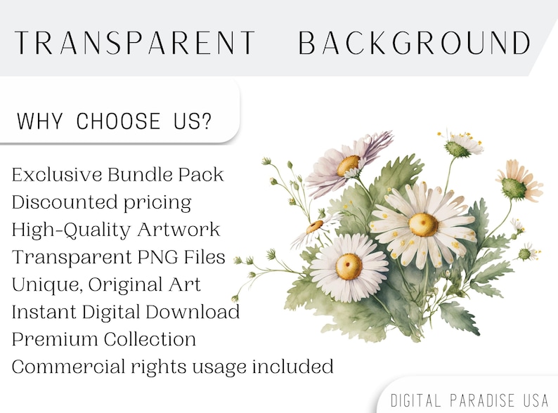 May include: A watercolour illustration of a bouquet of white daisies with green leaves and stems on a white background. The text "TRANSPARENT BACKGROUND" is at the top of the image and the text "WHY CHOOSE US?" is below the bouquet. The text below "WHY CHOOSE US?" lists the benefits of purchasing this product, including "Exclusive Bundle Pack", "Discounted pricing", "High-Quality Artwork", "Transparent PNG Files", "Unique, Original Art", "Instant Digital Download", "Premium Collection", and "Commercial rights usage included". The text "DIGITAL PARADISE USA" is at the bottom of the image.