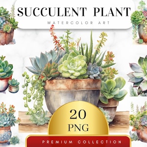 May include: A collection of 20 watercolor illustrations of succulent plants in pots. The plants are in various shades of green, with some having red or purple accents. The pots are a mix of brown, white, and gray.