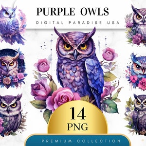 Set von 14, lila Eule Clipart, Aquarell Eule, Eule PNG, Vögel Clipart, Sublimation PNG, Eule Kunst, Eule digital, Kartenherstellung, digitaler Download