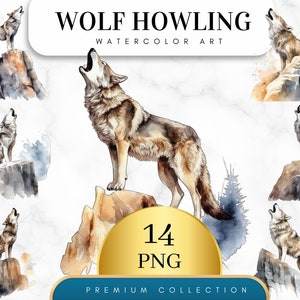 May include: A set of 14 watercolor illustrations of wolves howling on rocky cliffs. The wolves are depicted in various poses, with their heads tilted back and mouths open, as if they are howling at the moon. The illustrations are painted in shades of brown, gray, and white, with splashes of blue and yellow watercolor.
