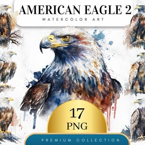 Set von 17, Amerikanischer Adler Aquarell Clipart, Adler Clipart Png, Amerikanischer Adler Png, Weißkopfseeadler Clipart PNG, Aquarell Clipart, Digitales PNG
