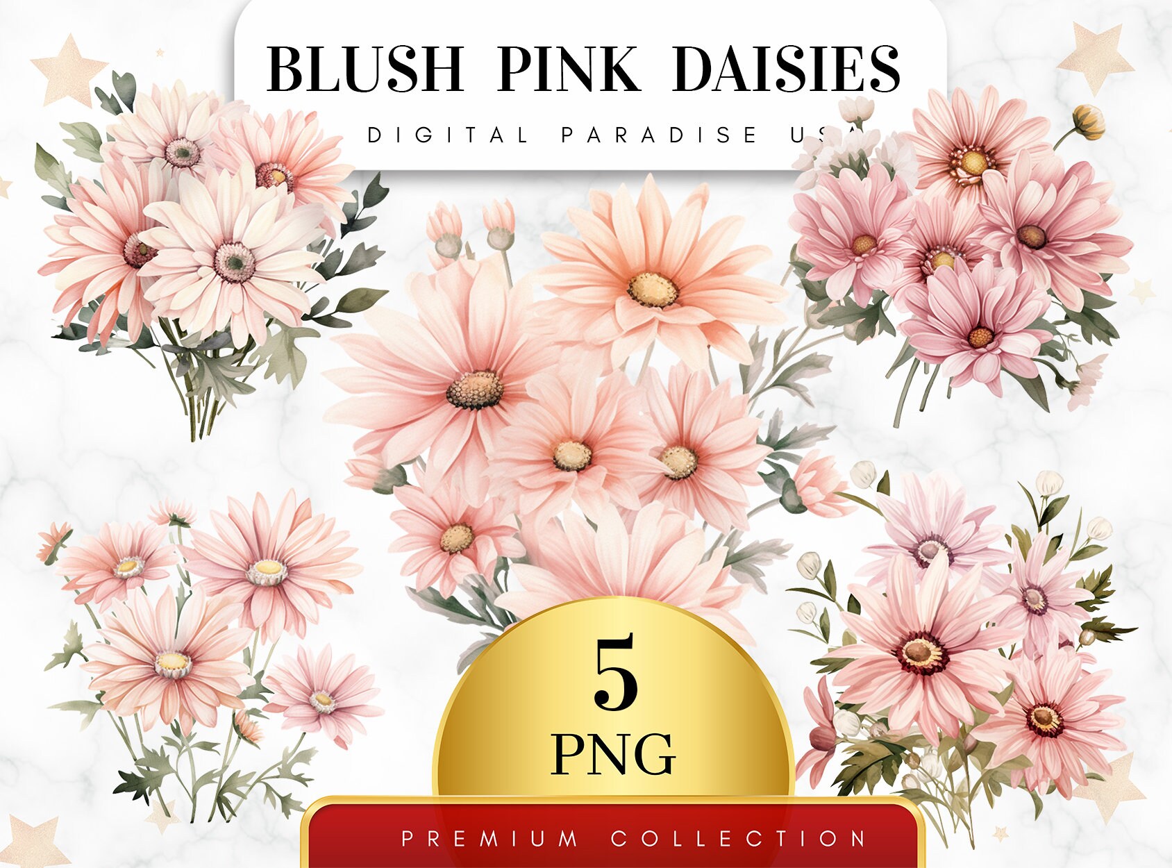 Set of 5, Blush Pink Daisies Clipart, Pink Daisies PNG, Floral Clipart, Wedding Clipart, Spring Clipart, Sublimation PNG, Digital Download