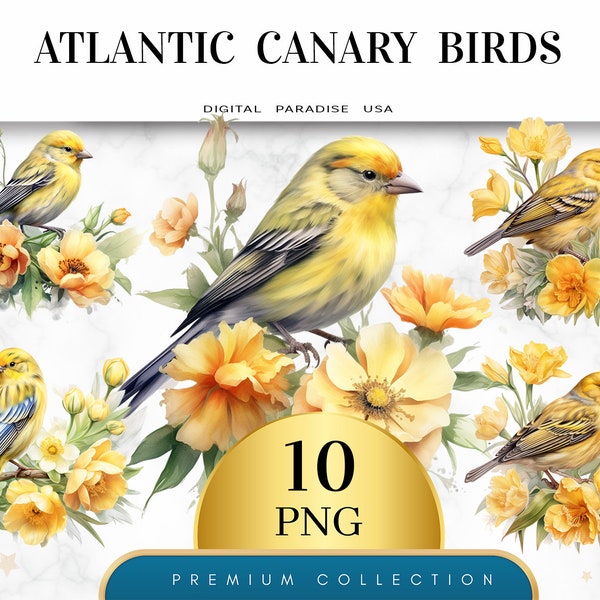 Set of 10, Atlantic Canary Birds Clipart, Canary Bird PNG, Tropical Bird Clipart, Exotic Bird Bundle, Sublimation PNG, Digital Download