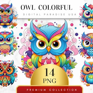 Set of 14, Colorful Owl Clipart, Owl PNG, Watercolor Owl, Owl Scrapbook, Junk Journal, Birds Clipart, Sublimation PNG, Digital Download