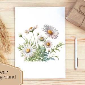 May include: Watercolour painting of a bouquet of white daisies with yellow centres on a white background.