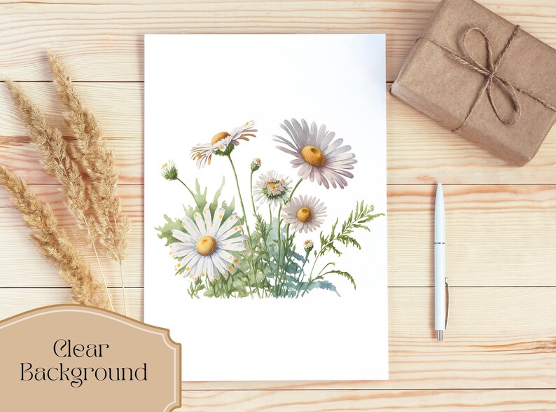 May include: Watercolour painting of a bouquet of white daisies with yellow centres on a white background.