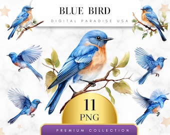 Set of 11, Watercolor Blue Bird Clipart, Bird PNG, Bird Clipart, Junk Journal Clipart, Scrapbook Clipart, Digital Download, Sublimation PNG