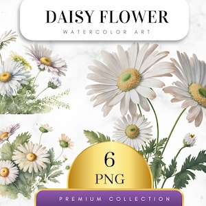 May include: Watercolour illustration of six daisy flowers in various arrangements. The flowers are white with yellow centres and green leaves. The image includes the text "DAISY FLOWER WATERCOLOUR ART" and "6 PNG PREMIUM COLLECTION".