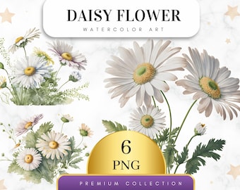 Set of 6, Watercolor Daisies Clipart, Spring Floral PNG, Daisies Bouquet PNG, Flowers Sublimation, Daisy Flowers Clipart, Digital Png