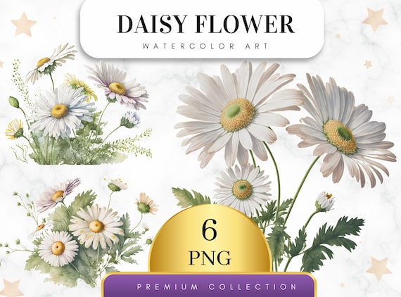 Set of 6, Watercolor Daisies Clipart, Spring Floral PNG, Daisies Bouquet PNG, Flowers Sublimation, Daisy Flowers Clipart, Digital Png