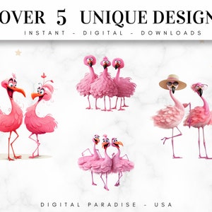 a group of pink flamingos standing next to each other