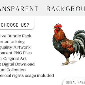 May include: A colorful illustration of a rooster with a red comb and wattle, brown and red feathers, and a blue-grey tail. The rooster is standing on a white background. The text "TRANSPARENT BACKGROUND" is at the top of the image, and the text "WHY CHOOSE US?" is below the rooster. The text below "WHY CHOOSE US?" lists the benefits of purchasing digital art, including "Exclusive Bundle Pack", "Discounted pricing", "High-Quality Artwork", "Transparent PNG Files", "Unique, Original Art", "Instant Digital Download", "Premium Collection", and "Commercial rights usage included". The text "DIGITAL PARADISE USA" is at the bottom of the image.