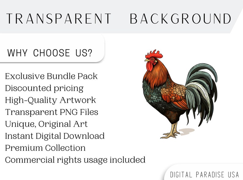 May include: A colorful illustration of a rooster with a red comb and wattle, brown and red feathers, and a blue-grey tail. The rooster is standing on a white background. The text "TRANSPARENT BACKGROUND" is at the top of the image, and the text "WHY CHOOSE US?" is below the rooster. The text below "WHY CHOOSE US?" lists the benefits of purchasing digital art, including "Exclusive Bundle Pack", "Discounted pricing", "High-Quality Artwork", "Transparent PNG Files", "Unique, Original Art", "Instant Digital Download", "Premium Collection", and "Commercial rights usage included". The text "DIGITAL PARADISE USA" is at the bottom of the image.