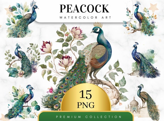 Set of 15, Watercolor Peacock Clipart, Peacock PNG, Boho Peacock Art, Watercolor Bird, Peacock Feathers, Sublimation PNG, Digital Download