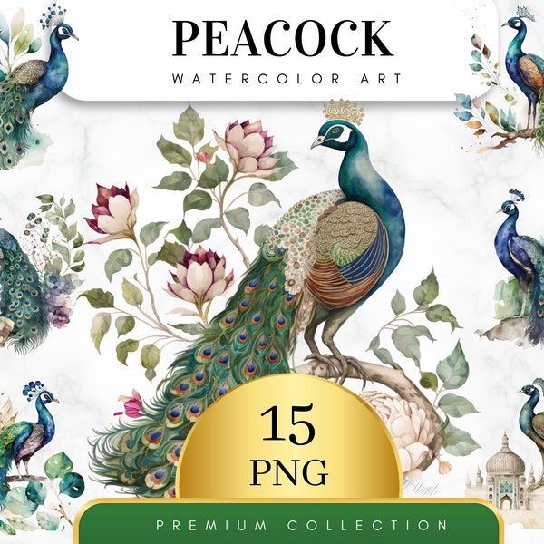 Set of 15, Watercolor Peacock Clipart, Peacock PNG, Boho Peacock Art, Watercolor Bird, Peacock Feathers, Sublimation PNG, Digital Download