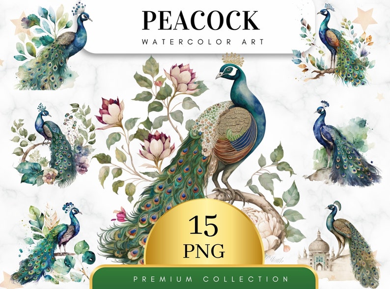 Set of 15, Watercolor Peacock Clipart, Peacock PNG, Boho Peacock Art, Watercolor Bird, Peacock Feathers, Sublimation PNG, Digital Download image 1