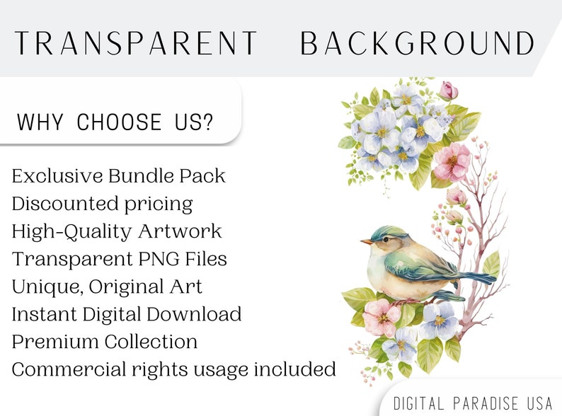 Puede incluir: Una ilustraci&oacute;n de acuarela de un p&aacute;jaro azul posado en una rama con flores rosas y azules. El texto "TRANSPARENT BACKGROUND" y "WHY CHOOSE US?" est&aacute; en la parte superior de la imagen. El texto debajo del p&aacute;jaro dice "Exclusive Bundle Pack, Discounted pricing, High-Quality Artwork, Transparent PNG Files, Unique, Original Art, Instant Digital Download, Premium Collection, Commercial rights usage included, DIGITAL PARADISE USA."