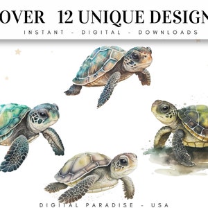 May include: Four watercolor illustrations of sea turtles in various poses. The turtles are green, blue, and brown with black accents. The background is white with a few light brown stars.