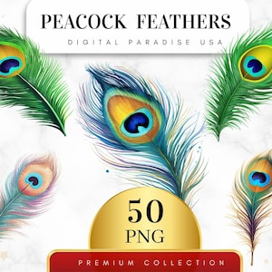 Set of 50, Peacock Feathers Clipart, Feather PNG, Boho Feather Art, Watercolor Feathers, Feather Bundle, Sublimation PNG, Digital Download