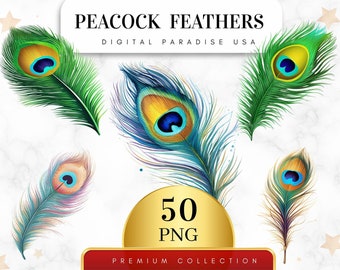 Set of 50, Peacock Feathers Clipart, Feather PNG, Boho Feather Art, Watercolor Feathers, Feather Bundle, Sublimation PNG, Digital Download