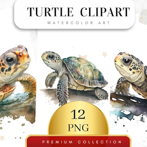May include: Three watercolor illustrations of sea turtles. The turtles are in different poses and have different shell patterns. The illustrations are on a white background with watercolor splatters.