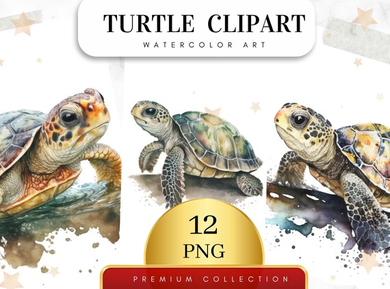 Set of 12, Sea Turtle PNG, Watercolor Sea Turtle Clipart, Sea Animals PNG, Cute Sea Turtle, Sea Turtle Wall Art, Ocean Animals, Digital Png