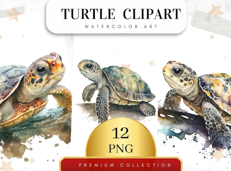 May include: Three watercolor illustrations of sea turtles. The turtles are in different poses and have different shell patterns. The illustrations are on a white background with watercolor splatters.