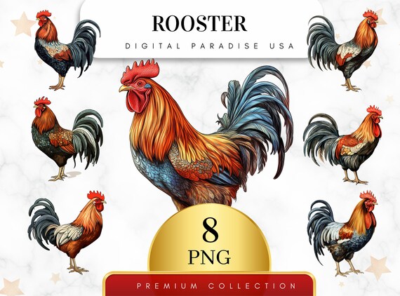 Set of 8, Rooster Clipart, Rooster PNG, Western Clipart, Farm Animal PNG, Digital Download, Watercolor Rooster, Sublimation, Nursery Clipart