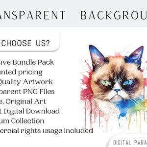 Conjunto de 4, imágenes prediseñadas de gato gruñón en acuarela, gato gruñón PNG, camiseta de gato gruñón, sublimación de animales PNG, gato PNG, arte de gato gruñón, PNG digital imagen 4
