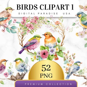 Set of 52, Watercolor Birds Clip Art, Colorful Birds Clipart, Spring Clipart, Bird Illustration,  Cute Birds & Blossoms, Digital PNG