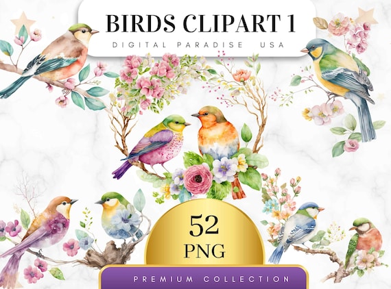 Set of 52, Watercolor Birds Clip Art, Colorful Birds Clipart, Spring Clipart, Bird Illustration,  Cute Birds & Blossoms, Digital PNG