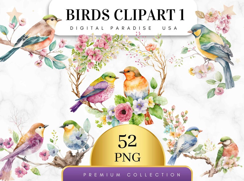 Puede incluir: Un conjunto de 52 ilustraciones de p&aacute;jaros de acuarela con acentos florales. Los p&aacute;jaros son de varios colores, incluyendo azul, verde, amarillo, naranja, rosa y morado. Las flores son en tonos de rosa, blanco y morado. Las ilustraciones son perfectas para manualidades, scrapbooking y otros proyectos creativos.