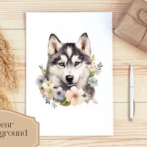Set di 24, Clipart floreali di husky siberiano, PNG di husky, Clipart di husky, Arte floreale di cani, Animali floreali in formato PNG, PNG a sublimazione, Download digitale immagine 3