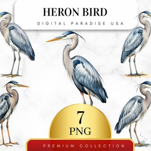 Set of 7, Watercolor Heron Bird Clipart, Heron PNG, Bird Clipart, Wildlife Clipart, Nature Clipart, Sublimation PNG, Digital Download