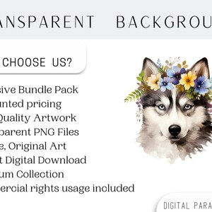 Set di 24, Clipart floreali di husky siberiano, PNG di husky, Clipart di husky, Arte floreale di cani, Animali floreali in formato PNG, PNG a sublimazione, Download digitale immagine 4
