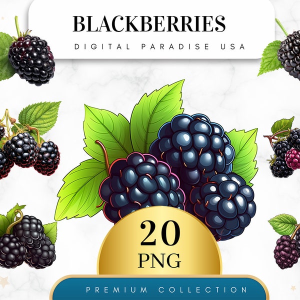 Set of 20, Blackberries Clipart, Blackberry PNG, Fruit Clipart, Berry Clipart, Food Clipart, Watercolor Blackberry, Sublimation, Digital PNG