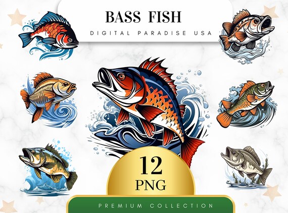 Set of 12, Bass Fish Clipart, Fish Clipart, Fish PNG, Fishing Clipart, Lake Life Clipart, Sea Creatures, Sublimation PNG, Digital Download
