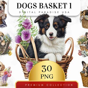 Può includere: Un set di 30 immagini PNG di illustrazione digitale che mostrano adorabili cuccioli di varie razze seduti in cesti di vimini con fiori colorati. Il testo "DOGS BASKET 1 DIGITAL PARADISE USA" e "30 PNG PREMIUM COLLECTION" è visualizzato sull'immagine.