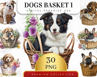 Set of 30, Watercolor Dogs in Basket, Animal PNG, Cute Floral Dogs Clipart, Dog PNG, Dog Basket Png, Dog Lovers Gift Clipart, Digital Png