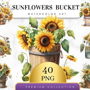Lot de 40, seau de cliparts tournesols, aquarelle tournesol PNG, art botanique, fabrication de cartes, tenue d'un journal, créations numériques en papier, PNG numérique