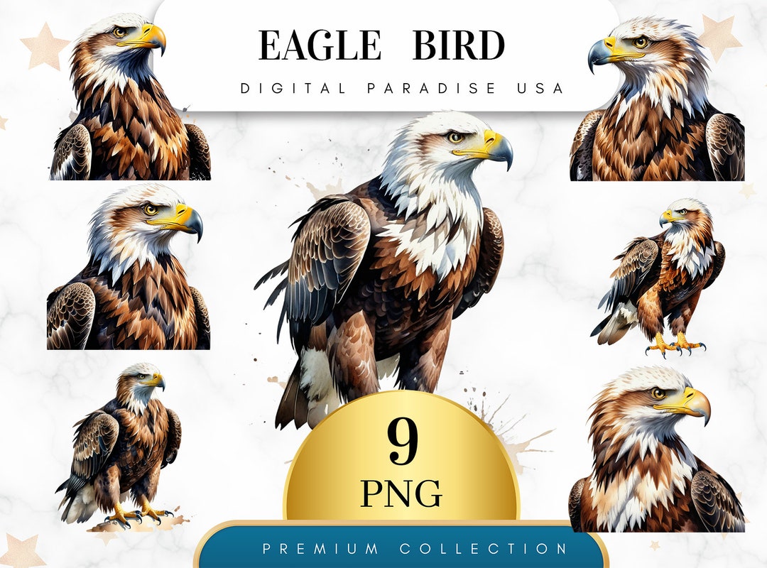 Lot de 9, aquarelle aigle Clipart, lot aigle, aigle PNG, clipart