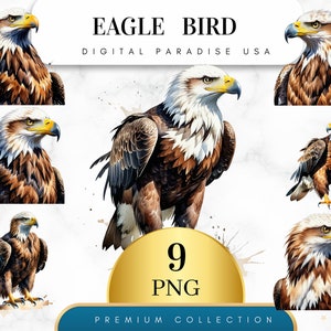 Set of 9, Watercolor Eagle Clipart, Eagle Bundle, Eagle PNG, Fashion Clipart, Eagle Art, Bird Clipart, Sublimation PNG, Digital Download