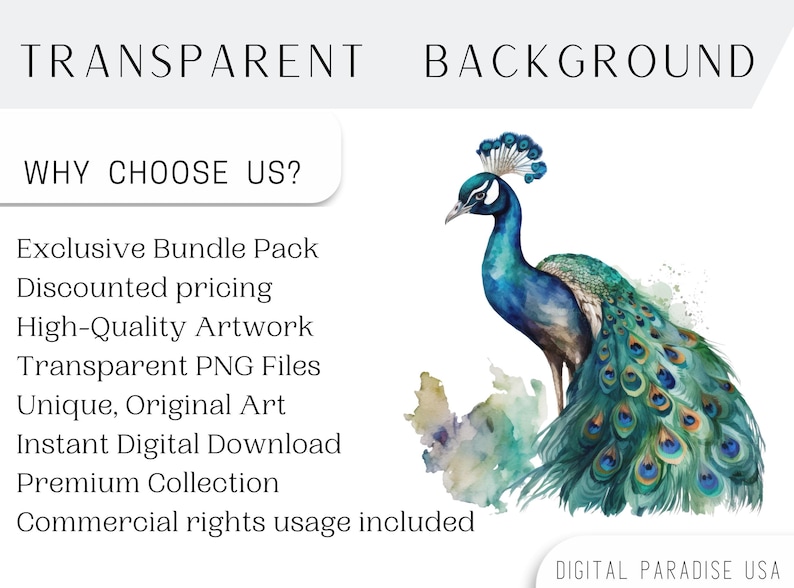 Set of 15, Watercolor Peacock Clipart, Peacock PNG, Boho Peacock Art, Watercolor Bird, Peacock Feathers, Sublimation PNG, Digital Download image 4