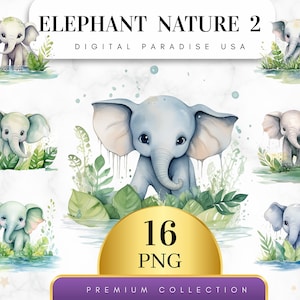 Set of 16, Elephant Nature Clipart 2, Elephant PNG, Jungle Animal Clipart, Elephant Clipart, Elephant Art, Sublimation PNG, Digital Download
