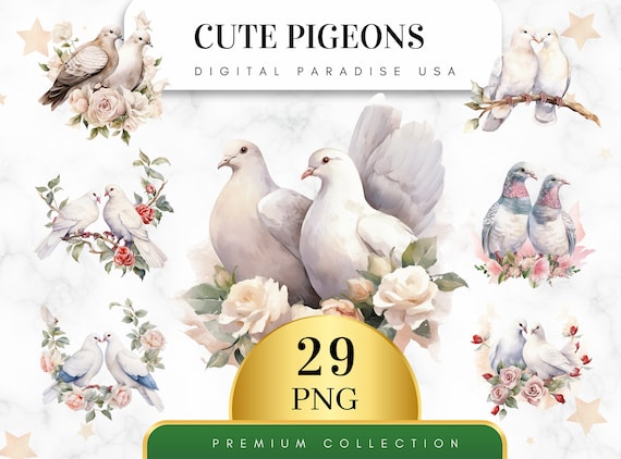 Set of 29, Cute Pigeons Clipart, Pigeon PNG, Bird Clipart, Scrapbook Birds, Watercolor Pigeons, Pigeon Art, Digital Download,Sublimation PNG