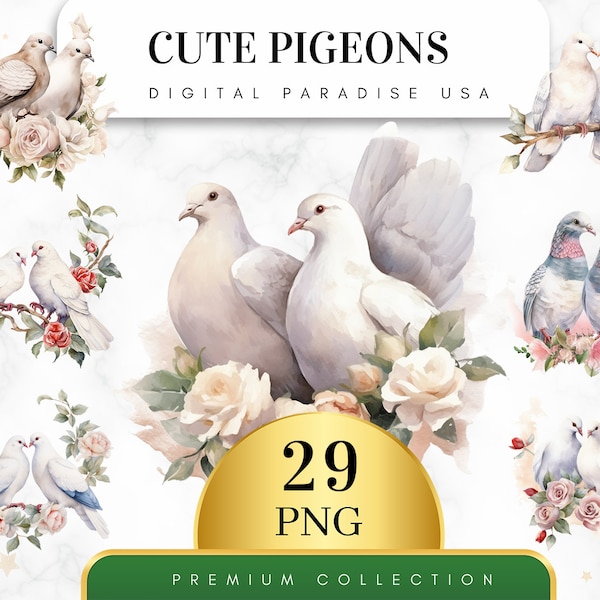 Lot de 29, Clipart Pigeons mignons, Pigeon PNG, Clipart oiseau, album d'oiseaux, Pigeons aquarelle, Pigeon Art, téléchargement numérique, Sublimation PNG