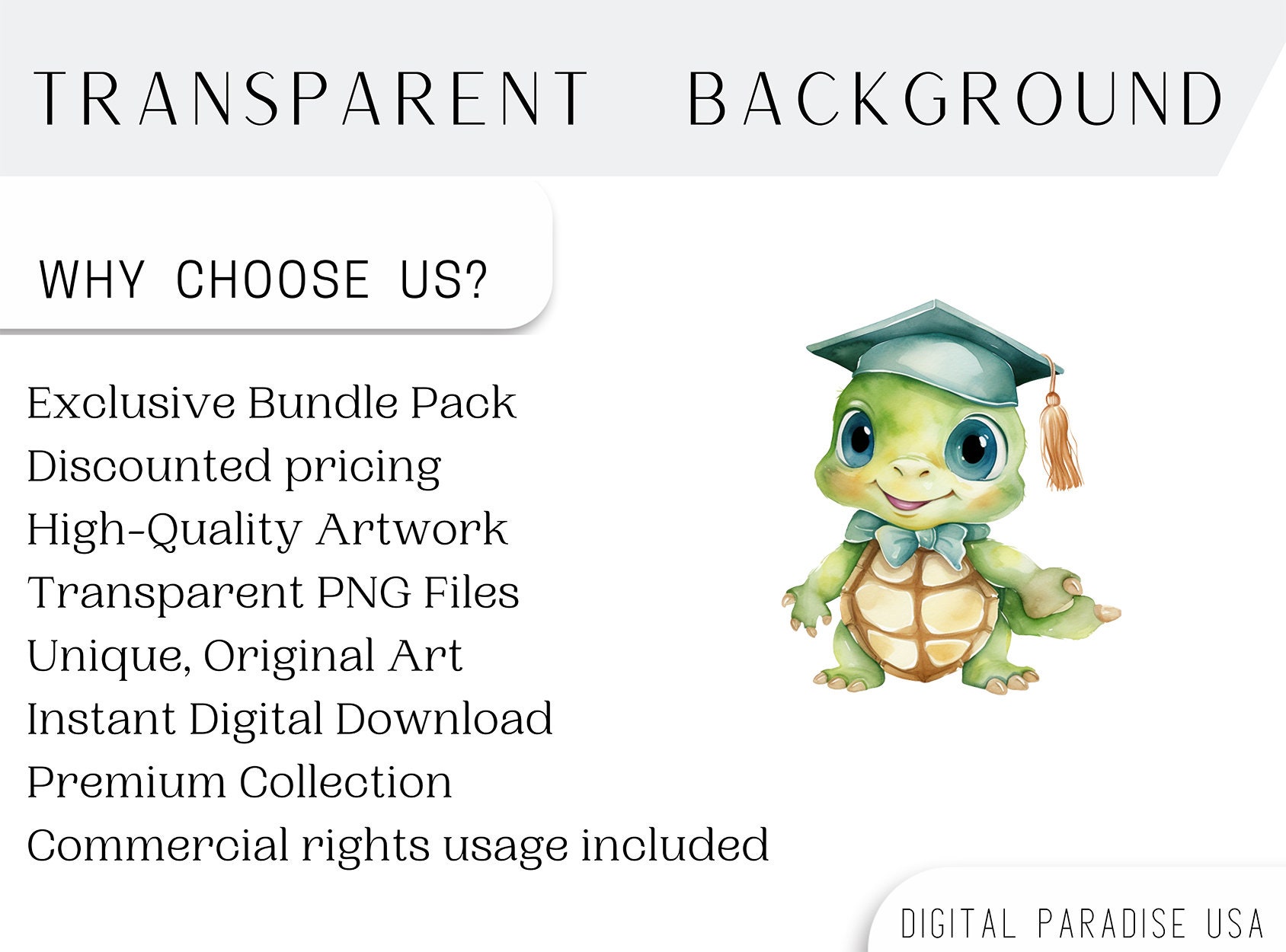Set of 12, Turtle Graduation Clipart, Turtle PNG, Graduation Cap ...