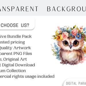 May include: A watercolor illustration of a brown owl wearing a flower crown with pink, yellow, blue, and white flowers. The owl has large brown eyes and is sitting on a white background. The text "TRANSPARENT BACKGROUND" is at the top of the image and the text "WHY CHOOSE US?" is below the owl. The text below "WHY CHOOSE US?" lists the benefits of purchasing from this shop.